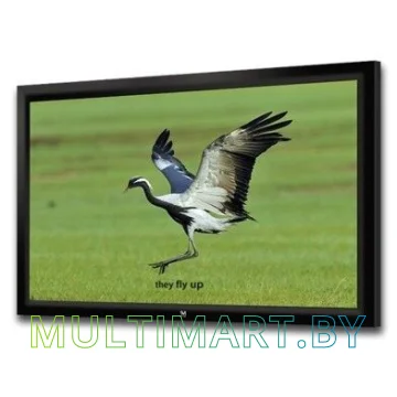 Проекционный экран Seemax Highland 4:3 366x274 FH150VPM